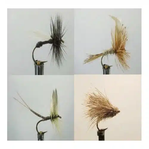 Se muestran cuatro moscas de pesca en una disposición de cuadrícula de 2x2 como parte del Kit Moscas Dragon Dry Flies Zath011 Wdx. Las moscas varían en color y diseño, y presentan diferentes tipos de patrones de plumas y pelos para cada anzuelo. La mosca de la parte superior izquierda es oscura con plumas negras; la de la parte superior derecha es marrón claro; la de la parte inferior izquierda es verde pálido; y la de la parte inferior derecha es beige.