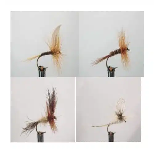 Se muestran cuatro imágenes en primer plano de diferentes moscas de pesca del Kit Moscas Dragon Dry Flies Zath0111 Wdx. Las moscas artificiales, elaboradas con diversos materiales para imitar insectos, cuentan con anzuelos, alas y cuerpos coloridos adecuados para la pesca con mosca. El modelo ZATH0111 incluye una variedad de moscas secas diseñadas por expertos.
