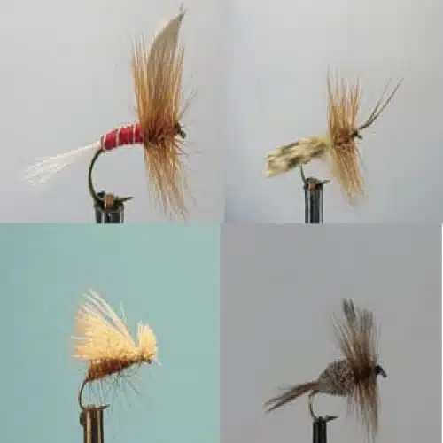 Un juego de cuatro moscas de pesca de la colección Kit Moscas Dragon Dry Flies Zath0112 Wdx exhibidas en anzuelos: la parte superior izquierda es roja y marrón con una cola blanca, la parte superior derecha es marrón con mechones blancos y negros, la parte inferior izquierda es beige y esponjosa, y la parte inferior derecha es grisácea con una cola tupida.