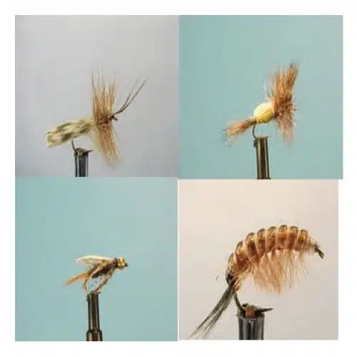 Sobre un fondo liso se muestran cuatro tipos distintos de moscas artificiales para pescar. Estas detalladas KIT MOSCAS DRAGON NYMPH FLIES ZATH 0223 WDX, diseñadas para imitar varios insectos, presentan materiales como plumas, pelo e hilo, cada una de ellas meticulosamente unida a un pequeño anzuelo de pesca.