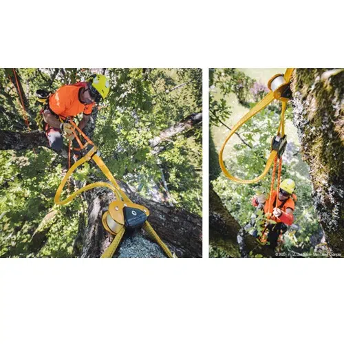 Dos imágenes muestran a una persona con equipo de protección y casco de color naranja brillante trepando un árbol. Utilizan con destreza el equipo Petzl, que incluye cuerdas y poleas amarillas, para su seguridad. El fondo está lleno de hojas y ramas verdes, realzadas por la Cinta para Salvarramas para mayor protección.