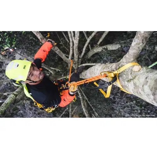 Una persona ataviada con un casco colorido y equipo de seguridad trepa un árbol, asegurada con cuerdas, arneses y la Cinta para Salvarramas Petzl Naja. Entre ramas y hojas, su ascenso aventurero es captado desde arriba.