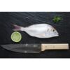 Un pescado crudo reposa sobre una superficie de pizarra oscura junto al Cuchillo Opinel N°118 Chef Parallèle, que cuenta con un mango de madera. Una rodaja de lima y un pequeño montoncito de hierbas verdes picadas realzan la escena.
