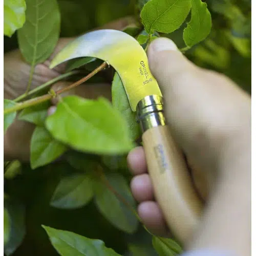 En medio de un exuberante fondo de follaje verde vibrante, el Cuchillo Opinel N°10 Corquete se sostiene con precisión, cortando las hojas con destreza y delicadeza. El enfoque se centra en la mano hábil que controla la herramienta y en los cortes precisos que se realizan en cada hoja.