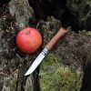 Una manzana roja y un Cuchillo Opinel N°6 Mango de Nogal están colocados artísticamente sobre un tocón de árbol cubierto de musgo al aire libre.
