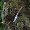 El Cuchillo Opinel N°8 Mango de Nogal, con su mango de madera, reposa parcialmente incrustado en un tronco cubierto de musgo en medio de un exuberante follaje y una pequeña flor amarilla, encarnando un tranquilo entorno de bosque.
