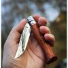 Una mano sostiene un Cuchillo Opinel N°6 Mango de Padouk abierto, con una hoja de metal pulido y un mango de madera. El cuchillo brilla con un acabado brillante sobre un fondo suavemente difuminado, lo que sugiere un entorno al aire libre.