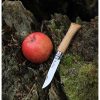 Una manzana roja y un Cuchillo Opinel N°6 Mango de Roble se colocan sobre la corteza de un árbol cubierto de musgo.