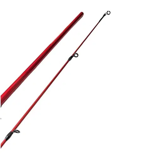 Caña Shimano Caius Casting 2,10m en color rojo con anillas de línea negras, mostrada desde dos perspectivas sobre fondo blanco.