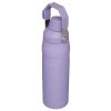 Una botella térmica Stanley Fast Flow de 1 l alta y morada que cuenta con un asa en la parte superior, un acabado mate y una tapa segura, lo que la hace perfecta para mantener sus bebidas a la temperatura ideal.