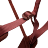 Primer plano de correas de nailon rojo con hebilla de plástico del modelo ajustable Arnés de Escalada Black Diamond Momentum Mujer. El material presenta un tejido texturizado y la hebilla está asegurada con un lazo. Las correas forman una X sobre un fondo blanco.