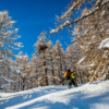 Dos personas con ropa de invierno se encuentran en una ladera nevada, rodeadas de árboles nevados bajo un cielo azul claro. Equipadas con Raquetas de Nieve MSR Revo Explorer 25 (copia), parecen estar caminando o haciendo raquetas de nieve, disfrutando del apacible paisaje invernal.