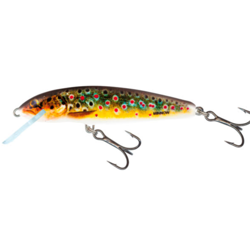 Señuelo Salmo Minnow Sinking 7 Cm