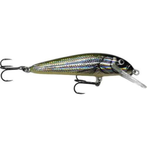 Señuelo Salmo Minnow Floating 5,0 Cm