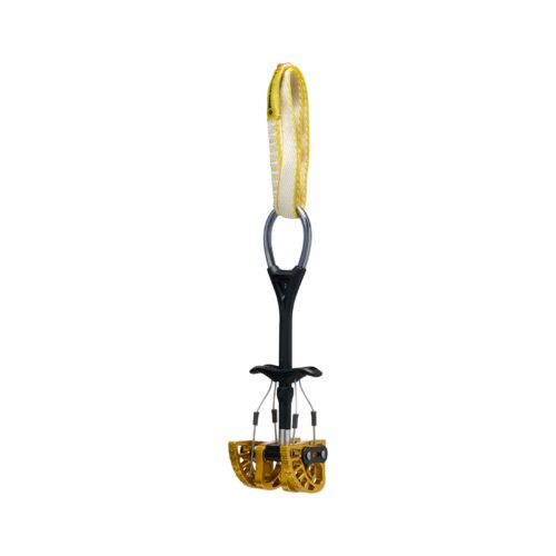 Camalot C4 Extendable Black Diamond
