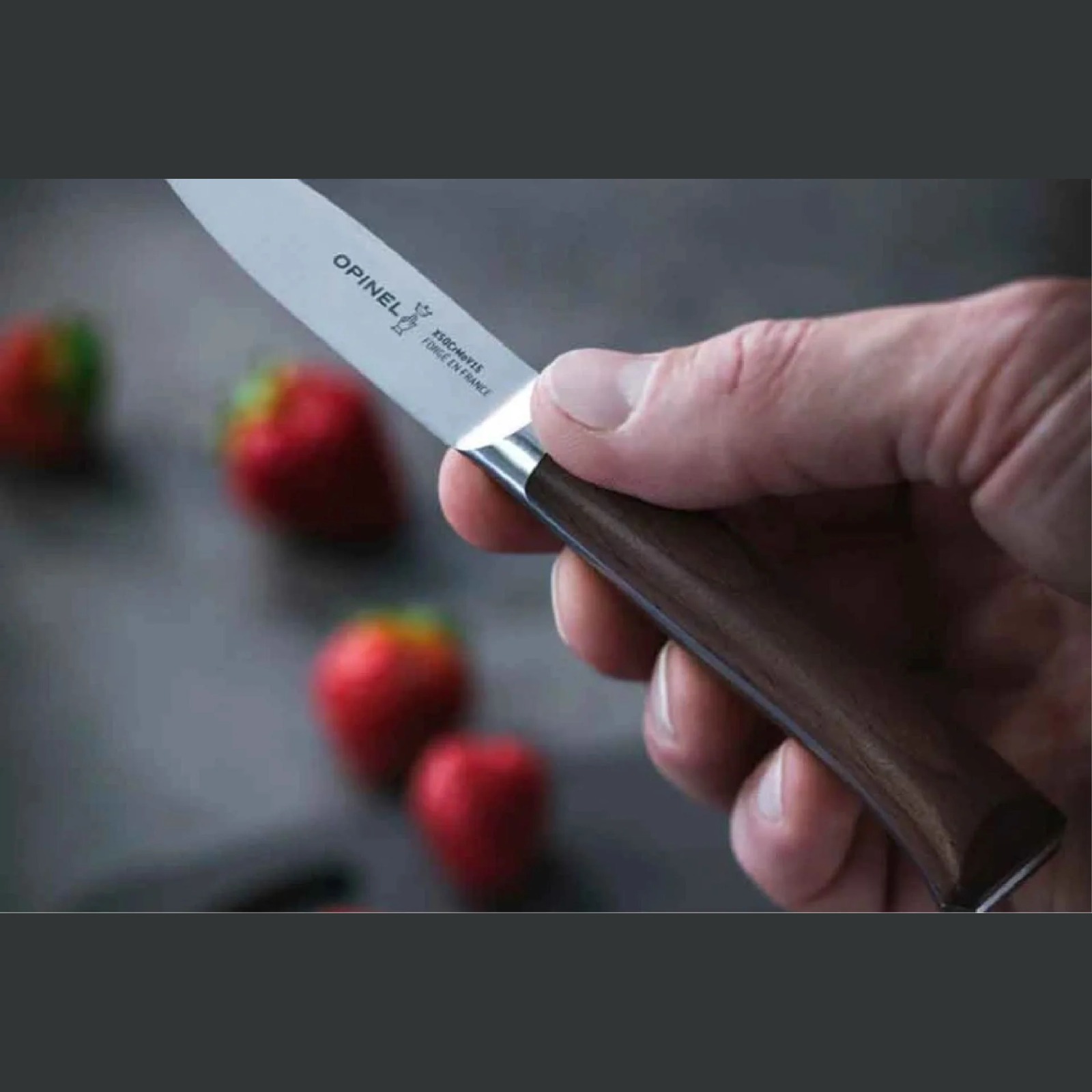 Cuchillo Opinel Tipo Puntilla Les Forgés 1890