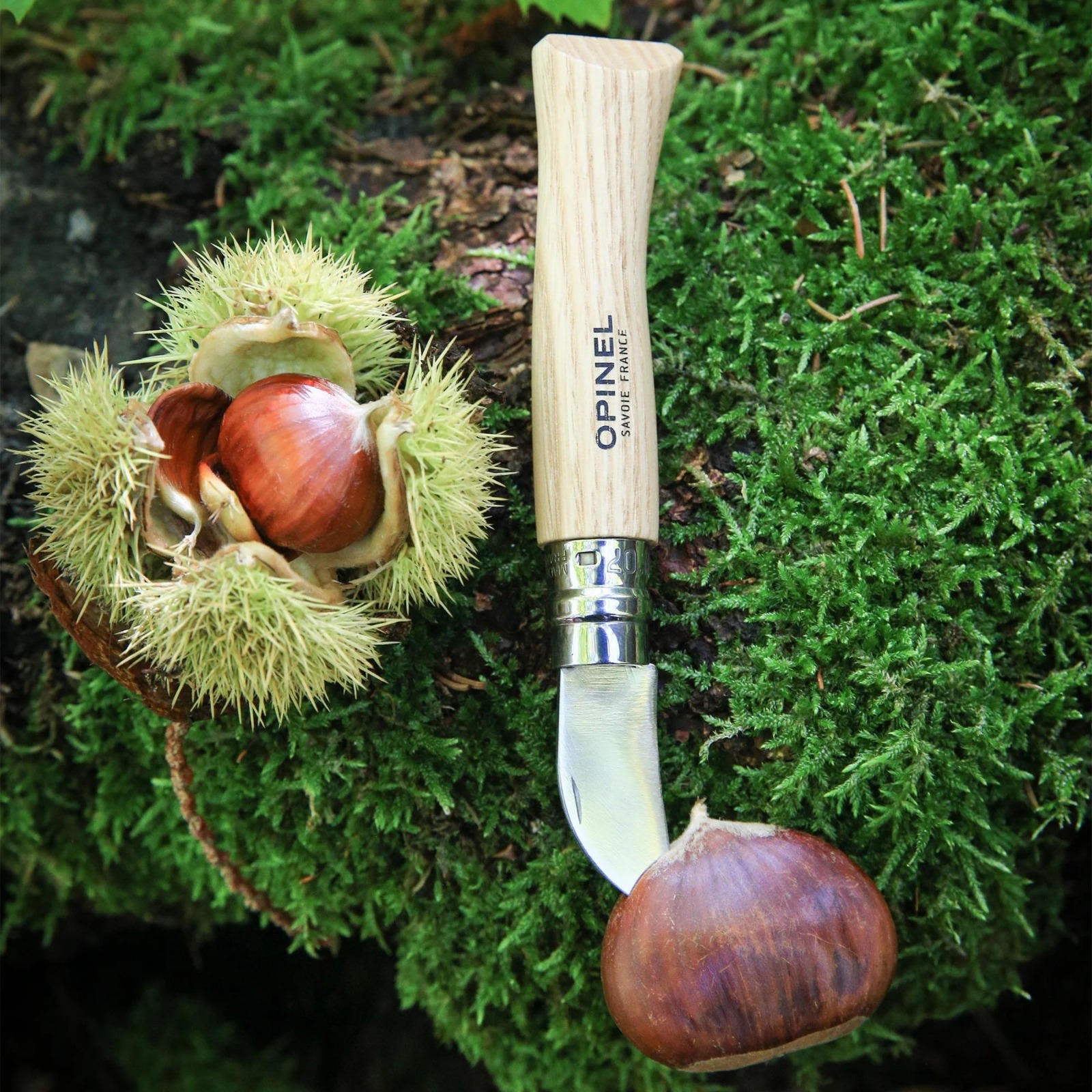 Cuchillo Opinel N°7 para Castañas