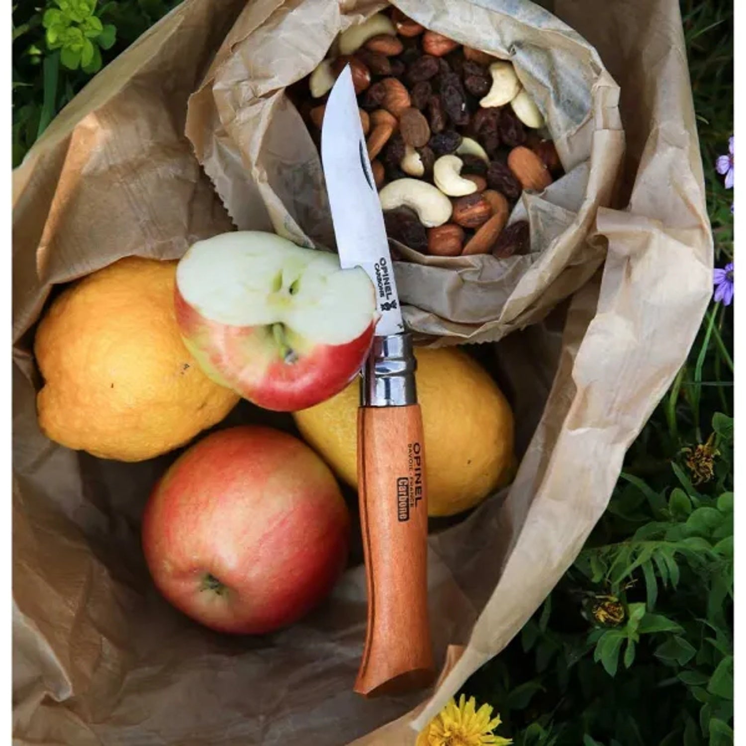 Cuchillo Opinel N°9 VRN de Acero Carbono