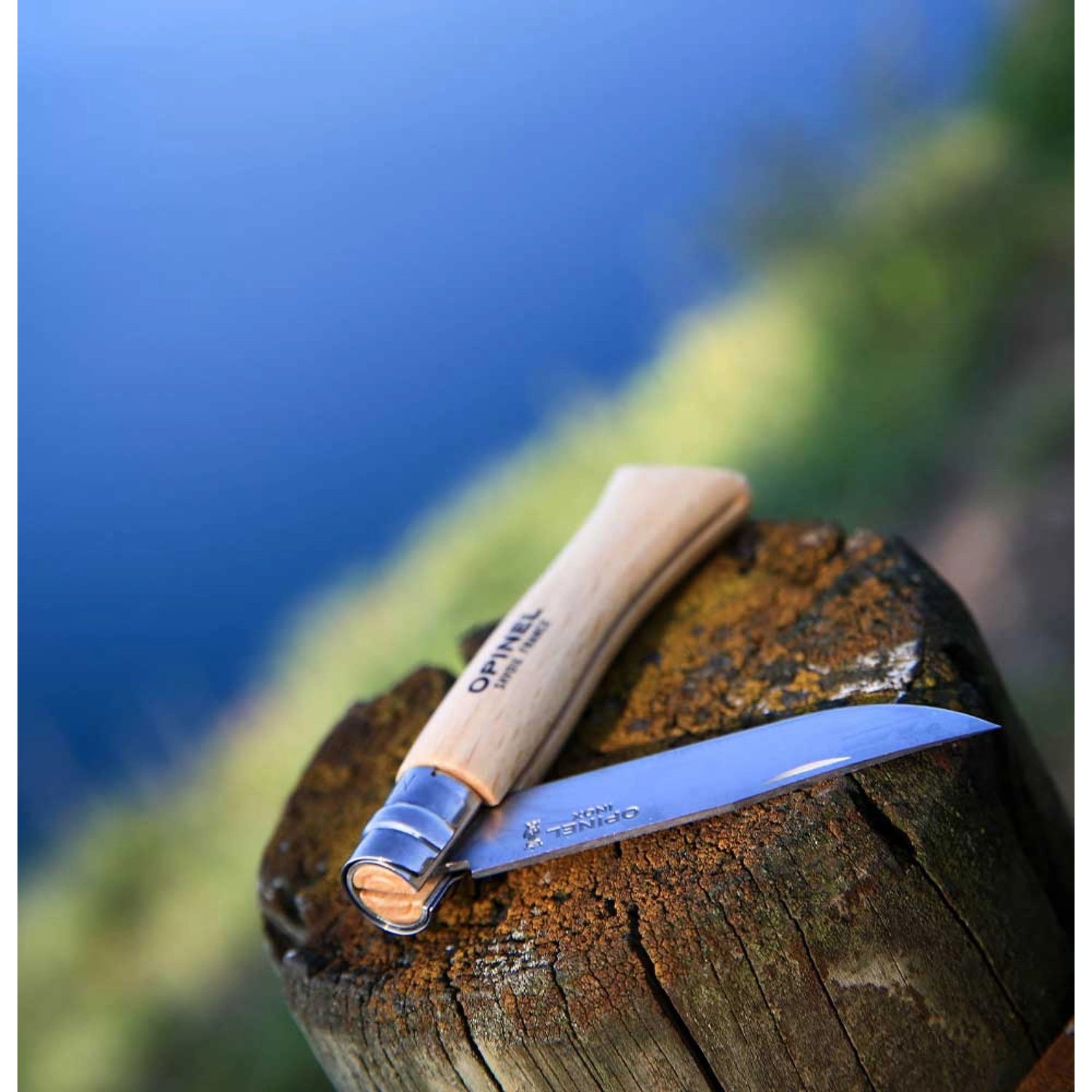 Cuchillo Opinel N°10 de Acero Inoxidable