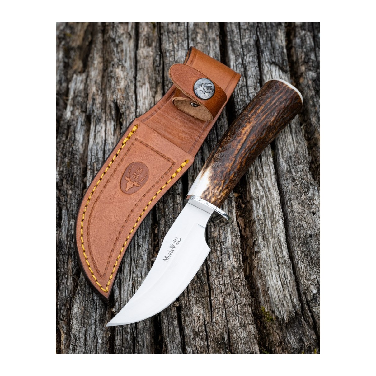 Cuchillo Muela Dp-10A - vista 2