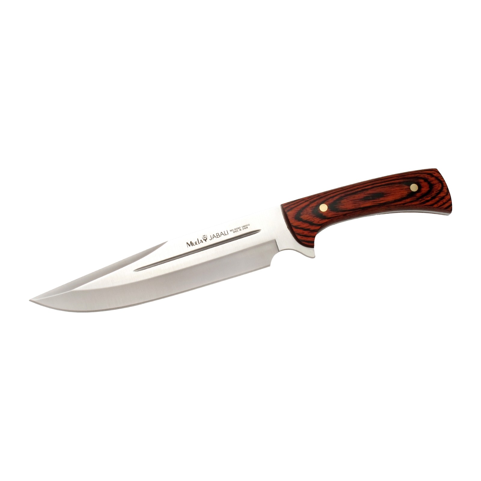 Cuchillo Muela Jabali-21E