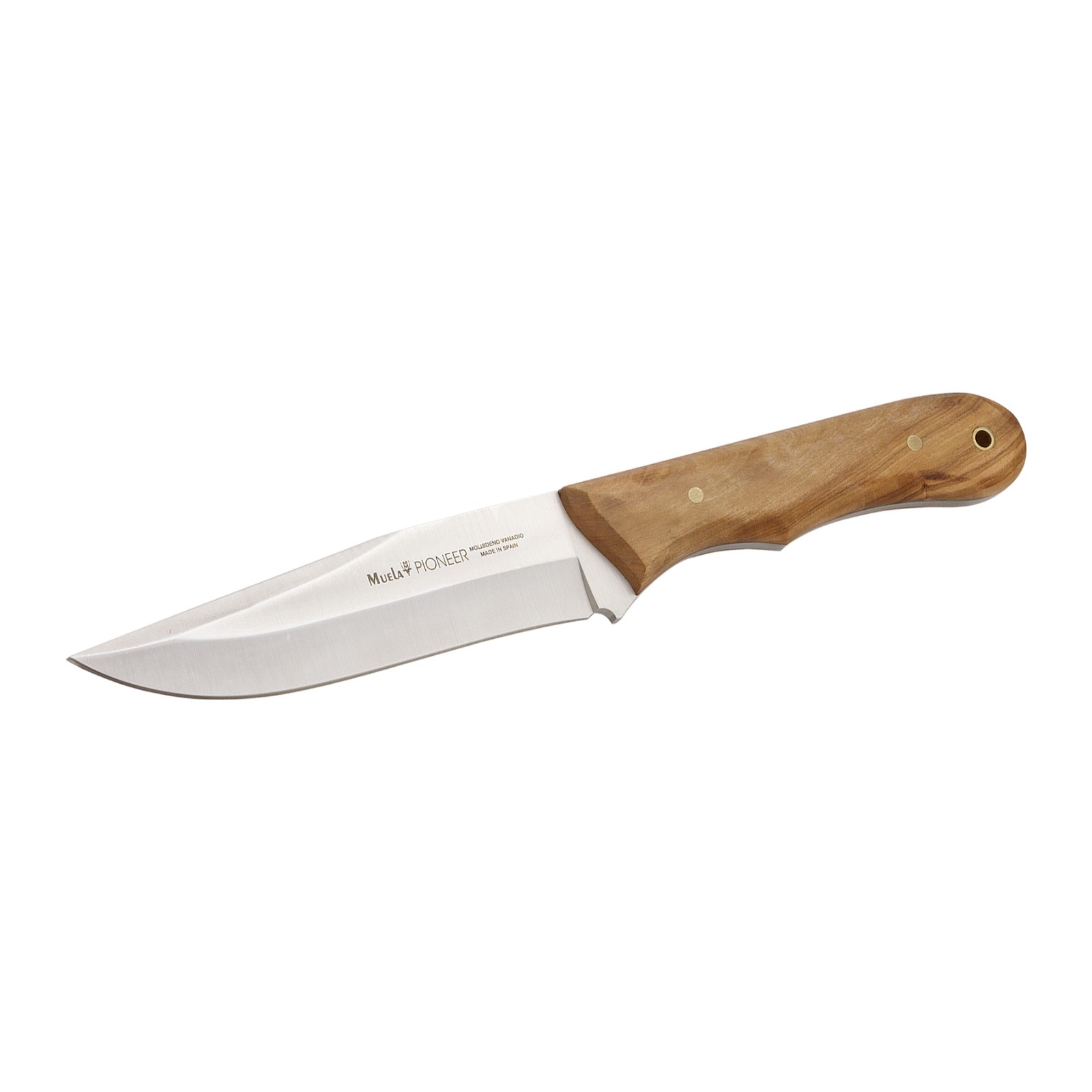 Cuchillo Muela Pioneer-14.OL Hoja 13,5 cm Madera de Olivo