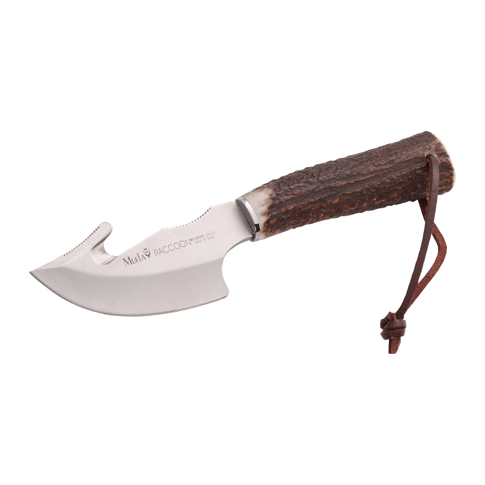 Cuchillo Muela Raccoon-8A Hoja 8 cm Asta de Ciervo