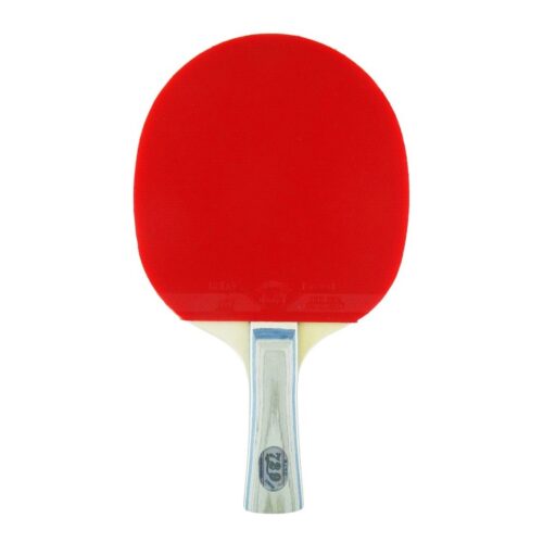Paleta de Ping Pong 729 5 Estrellas